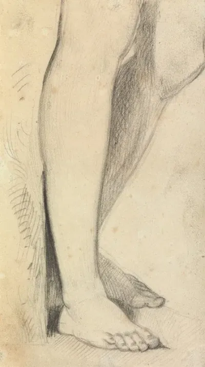 Figure Study Of Legs