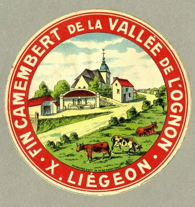 Fin Camembert De La Vallee De Lognon