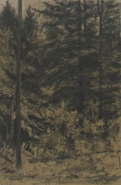 Fir Trees 3
