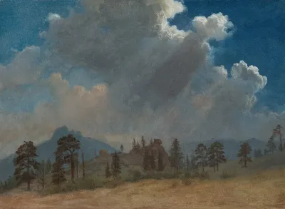 Fir Trees And Storm Clouds