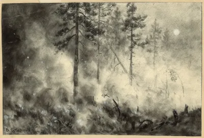 Fire On The Taiga Near Krasnoyarsk