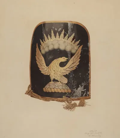 Firemans Hat Shield