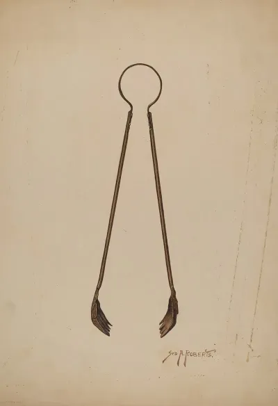 Fireplace Tongs 2
