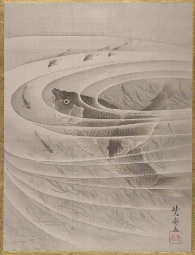 Fish In A Whirlpool