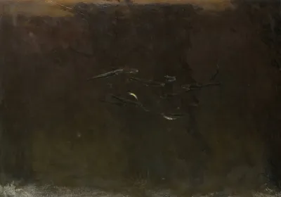Fish In An Aquarium
