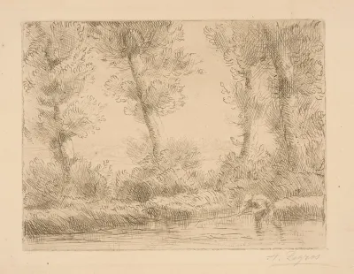 Fisherman In Stream