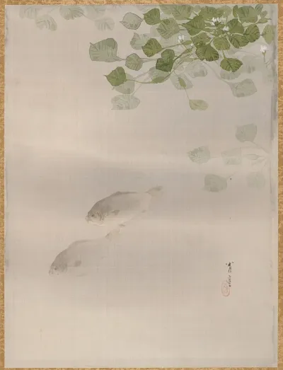 Fishes 6