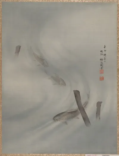 Fishes Swimming 2