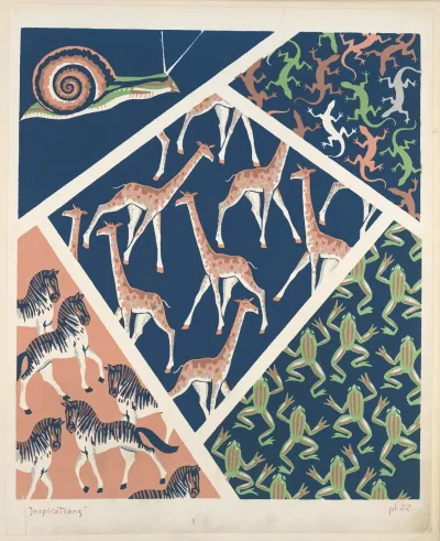 Five Animal Form Compositions Snail Iguanas Giraffes Zebras Frogs
