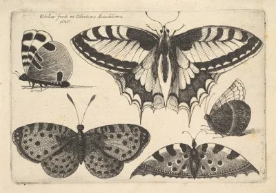Five Butterflies 3