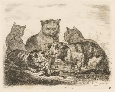 Five Cats And A Bird