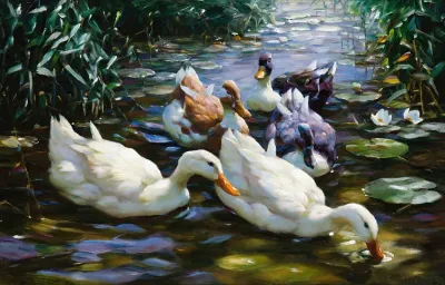 Five Ducks