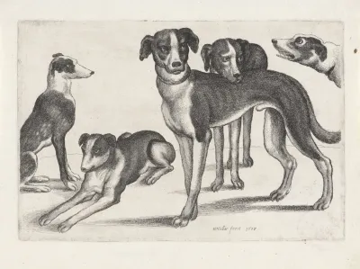 Five Hounds The One At Far Left Sitting The Next One Lying Others Standing