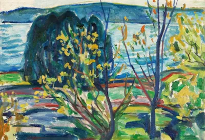 Fjordlandskap Fjord Landscape