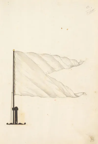 Flag Of France 8