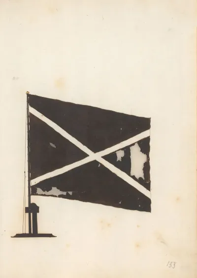 Flag Of Russia 5
