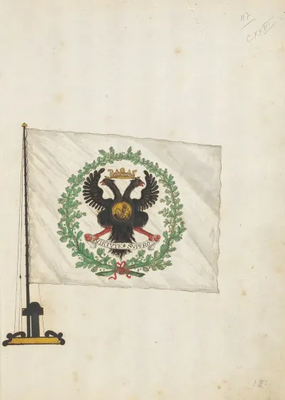 Flag Of Russia 6