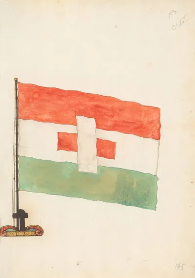 Flag Of Zaandam