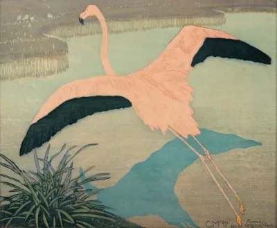 Flamingo