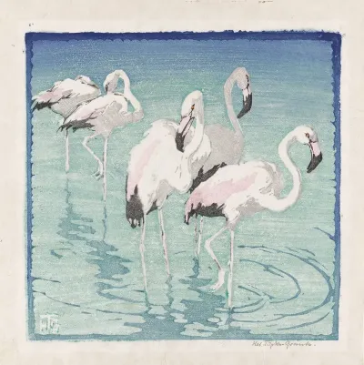 Flamingos 2