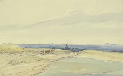 Flat Landscape 5