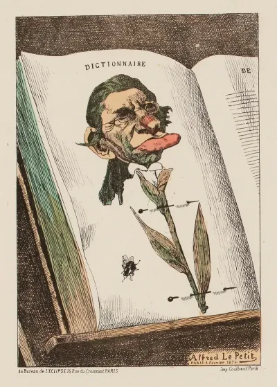Fleur Dessechee M Littre