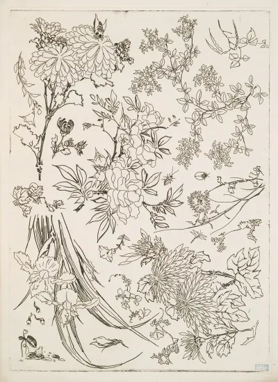 Fleurs 4