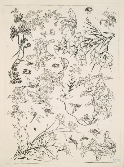 Fleurs 5
