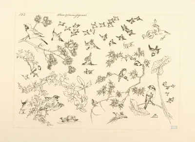 Fleurs Et Oiseaux Japonais