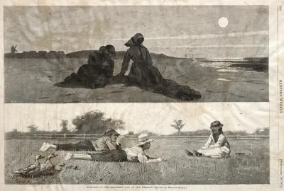 Flirting On The Seashore And On The Meadow
