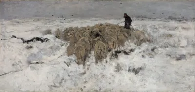 Flock Of Sheep With Shepherd In The Snow
