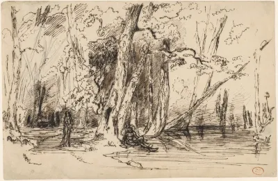 Flooding In The Forest Of The Ile Seguin