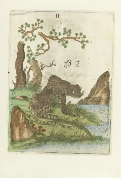 Flora Sinensis