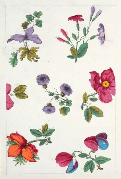 Floral Design For Printed Textile Pl Xii