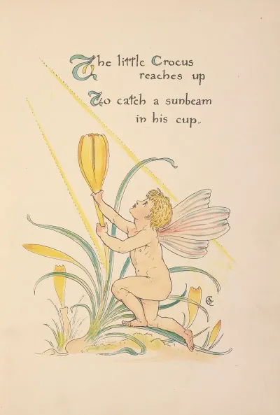 Floras Feast A Masque Of Flowers Pl 05