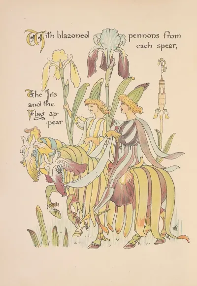 Floras Feast A Masque Of Flowers Pl 16