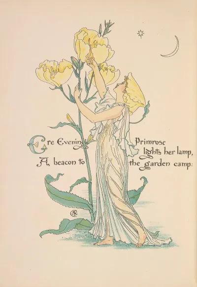 Floras Feast A Masque Of Flowers Pl 28