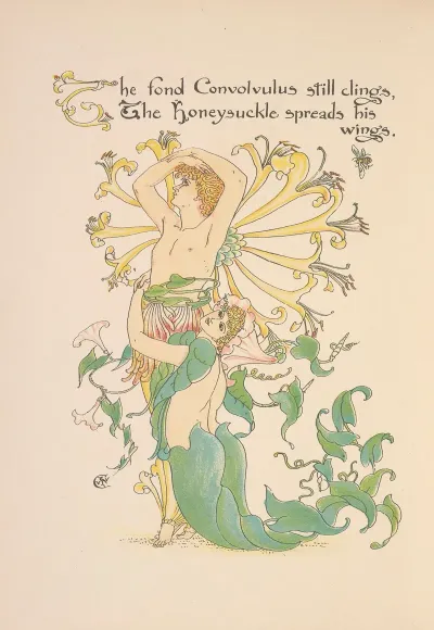 Floras Feast A Masque Of Flowers Pl 30