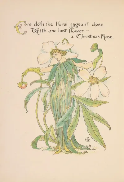 Floras Feast A Masque Of Flowers Pl 36