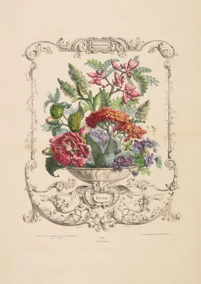 Flore Des Quatre Saisons Pl 08