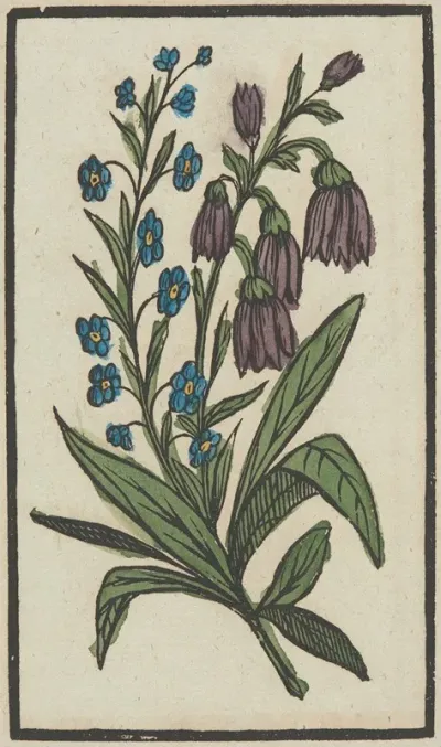 Flower 17