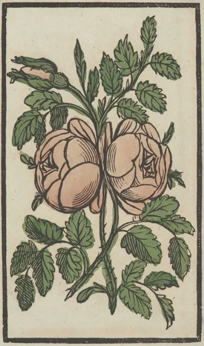 Flower 18