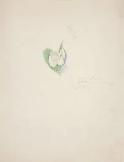 Flower 2