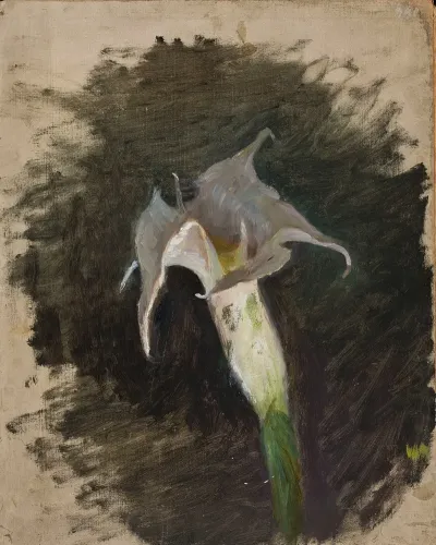 Flower 3