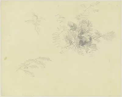 Flower 4