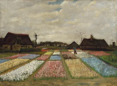 Flower Beds In Holland