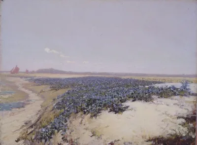 Flower Covered Dunes