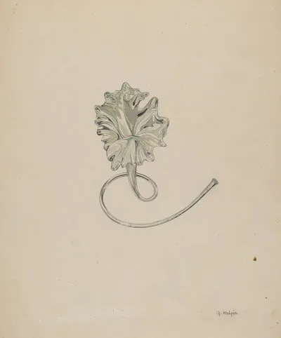 Flower Lily