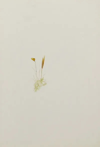 Flower Study 16