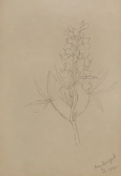Flower Study 18